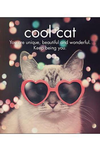 Cool Cat in Sunnies Card-NZ CARDS-Affirmations (NZ)-The Outpost NZ