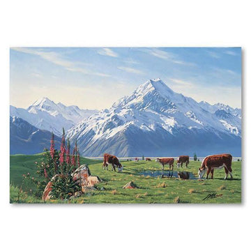 Foxgloves Mt Cook Canvas By Peter Morath,NZ ART,The Outpost NZ The Outpost NZ, New Zealand, outpost, Queenstown 