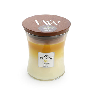 Fruits Of Summer Trilogy Soy Candle-NZ CANDLES-Splosh (AUS)-Medium-The Outpost NZ