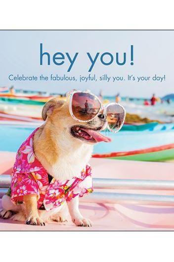 Hey You! Dog Card-NZ CARDS-Affirmations (NZ)-The Outpost NZ