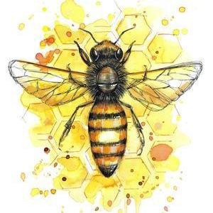Honey Bee Print-NZ ART-Fiona Clarke (NZ)-The Outpost NZ