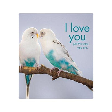 I Love You Budgies Card-NZ CARDS-Affirmations (NZ)-The Outpost NZ