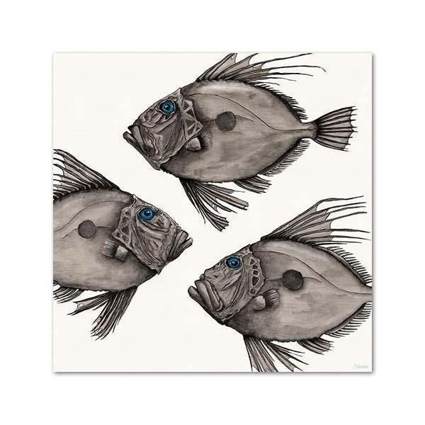 John Dory Canvas By Joanne Webber,NZ ART,The Outpost NZ The Outpost NZ, New Zealand, outpost, Queenstown 