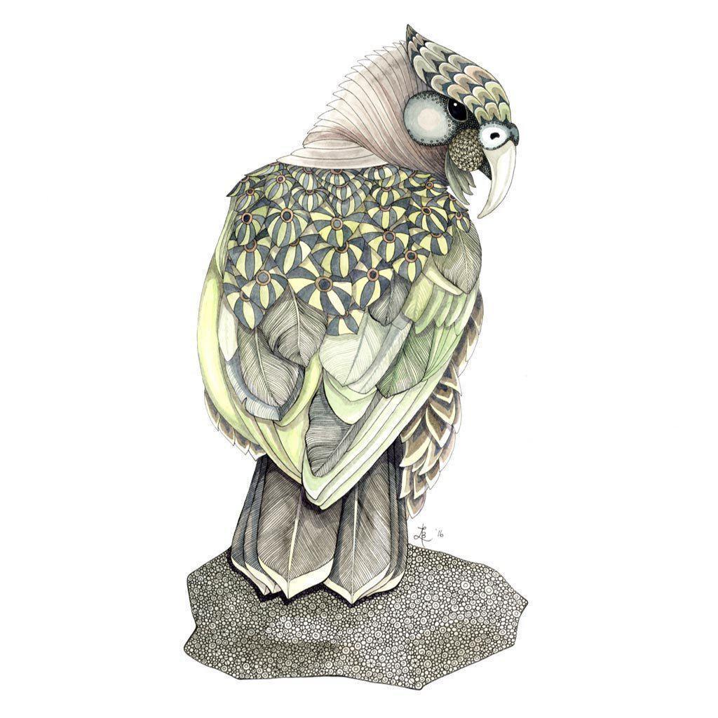 Kea Print,NZ ART,The Outpost NZ The Outpost NZ, New Zealand, outpost, Queenstown 