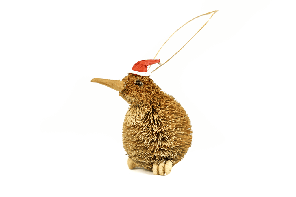 Kiwi Bristle Ornament-NZ GIFT-Ogilvies (NZ)-Santa Hat-The Outpost NZ
