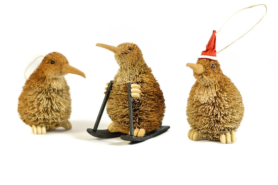 Take home a kiwi gift