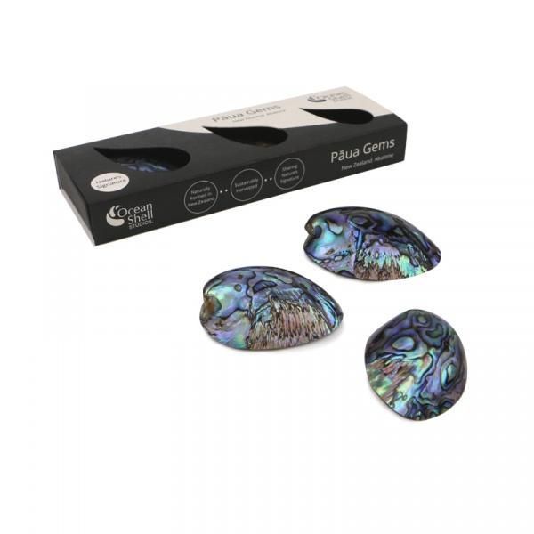 Paua Gems-NZ HOMEWARES-Ocean Shell Studios (NZ)-The Outpost NZ