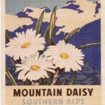 Vintage Travel Poster New Zealand Mountain Daisy Southern Alps - New  Zealand - T-Shirt
