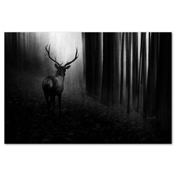 Stag Canvas By Doris Reindl,NZ ART,The Outpost NZ The Outpost NZ, New Zealand, outpost, Queenstown 