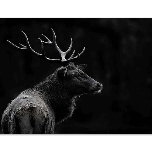 The Deer Soul NZ Print 28 x 35 cm-NZ ART-Image Vault ltd (NZ)-The Outpost NZ